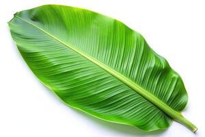 agri